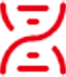 自主研发团队